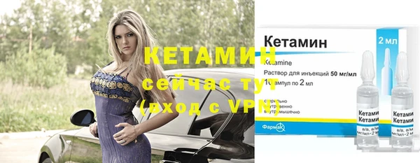 прущие грибы Карпинск