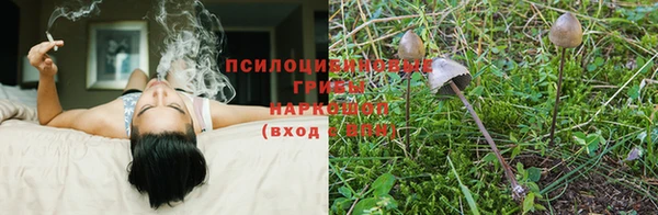 соль курить ск Касимов