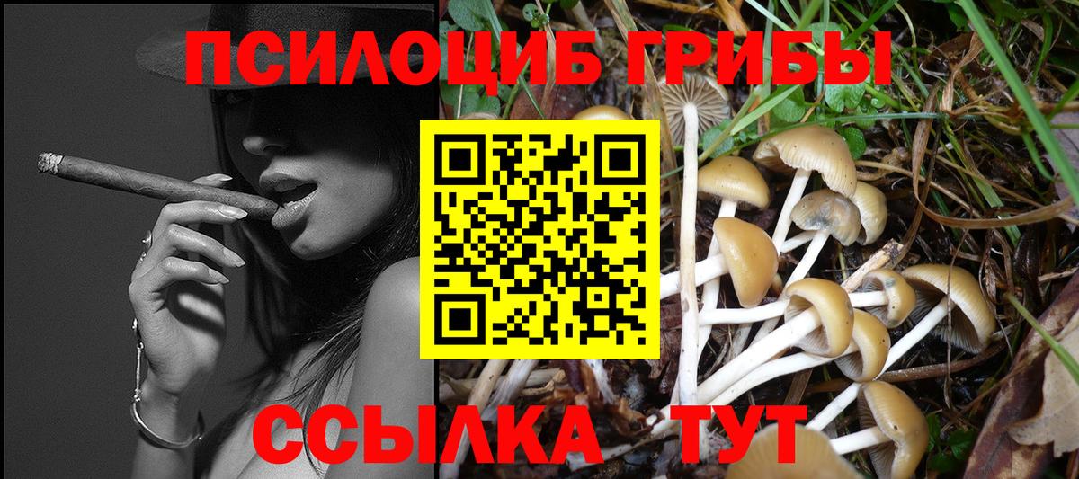 Галлюциногенные грибы мицелий Евпатория